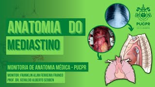 Mediastino  Monitoria de Anatomia Médica PUCPR [upl. by Odlanier]