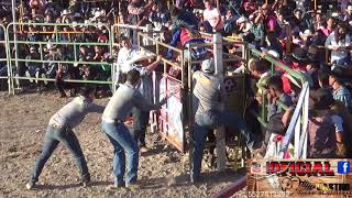 JARIPEO EN LA FUENTE TEQUISQUIAPAN QUERETARO [upl. by Lak]