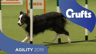 Agility Championship Round 2 – Agility  Large  Crufts 2019 [upl. by Nerval]