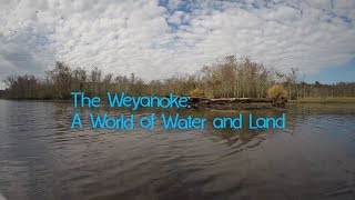 Virginias First People The Weyanoke—A World of Water and Land [upl. by Lashonde]