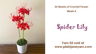 Spider LilyFlower of Week 4 [upl. by Phylys448]