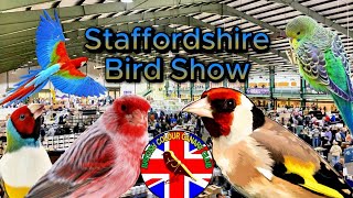 Staffordshire Spring Bird Show 2024  UKs Largest Bird Show [upl. by Nnarefinnej]