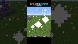 AMETHYST vs Super Dog minecraftgameplay viral youtubeshorts tiktok golem [upl. by Macintosh]