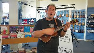 Ukulele playalong Ferry cross the Mersey [upl. by Sharman666]