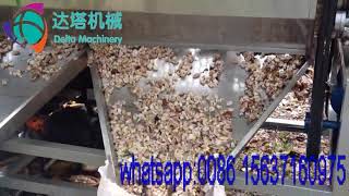 fresh cocoa pod splitting machineseparating cocoa beanDelta Machinery [upl. by Yecats]