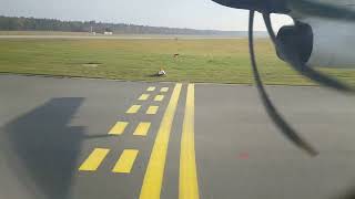 Stunning takeoff from Hannover Airport Germany takeoff hannover flying [upl. by Syd]