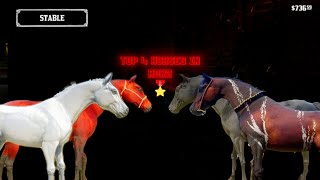 RDR2  MET THE CHAMPIONS [upl. by Itsirc]