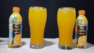 ASMR sounds  Drink TEPPY orange juice with ice cool and refreshing  no talking [upl. by Kcirdes753]