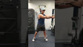 How To Do The Standing Cable Core Rotation Exercise For Beginners  functional exercises rotation 6 [upl. by Nwahs]