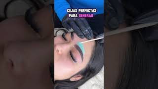 clase noviembre cejas pigmentadas [upl. by Anibur]