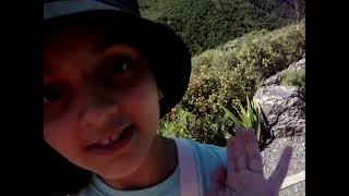 Travel Vlog  Pinnacles Hut Coromandel New Zealand [upl. by Torhert]