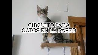 CIRCUITO EN LA PARED PARA GATO [upl. by Salina858]