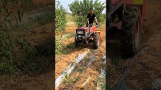 Orchard fertilizer spreader Hand tractor with orchard fertilizer spreader part 410 [upl. by Yrehc]