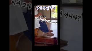 정품 미국간호사 에이전시 미국간호사 이민 뉴욕간호사 엔클렉스 프랭클린 에이전시 간호사 미국 이민 뉴저지 간호사 아이케어 코누 간호사 브이로그 간호사 [upl. by Llednahc309]