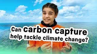 What is carbon capture and can it help slow climate change  Wonderlab Science Museum  science [upl. by Novelc95]