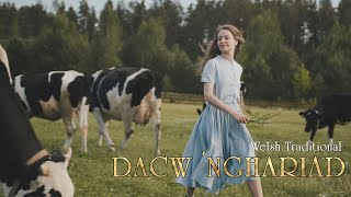 Dacw Nghariad  High Quality with lyrics  Welsh folk song meets Nordic music [upl. by Nacim]