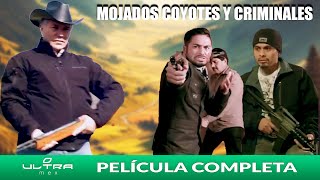 Mojados Coyotes y Criminales  Película Mexicana Completa  Ultra Mex [upl. by Ellehcsor]