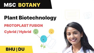 Protoplast Fusion  Cybrid  Hybrid  Plant Biotechnology  BHU  DU MSc Entrance  In Hindi [upl. by Maude]