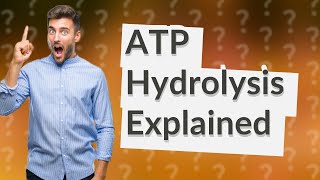 Is ATP hydrolyzed to ADP [upl. by Glialentn]