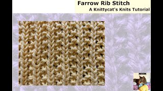 Farrow Rib Stitch Easy 1row Repeat a Knittycats Knits Tutorial [upl. by Farny40]