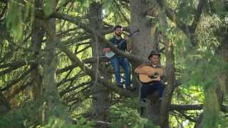 Evergreen  The Okee Dokee Brothers [upl. by Armat]