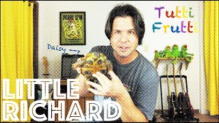 Guitar Lesson How To Play Tutti Frutti by Little Richard [upl. by Enahsed]