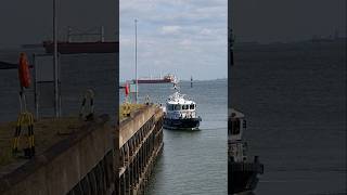 🛥️ Vlissingen Netherlands🇳🇱 Sluicebox TravelwithHugoF boatlock sluicebox sluice sluis [upl. by Kadner]