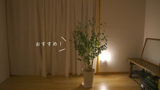 【良い！】お部屋を簡単にグレードアップできるアイテムを推したい…！ [upl. by Akcirred]