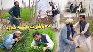 Da Paki Na Paleta Kha Wa  Pashto Comedy Video 2024  Ib Khan Vines [upl. by Kwasi]