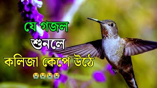 Sad gojol Bangla sad gojolBangla sad Ghazalকষ্টের গজল নতুন গজল [upl. by Harikahs]