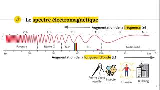 Le spectre électromagnétique [upl. by Blandina872]