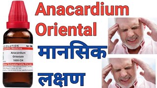 Anacardium Orientale 30200 dosage homeopathic medicine uses in hindi [upl. by Yrtua]