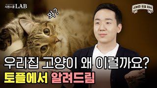 토플 공부 변위활동Displacement activity 주제로 풀어보는 고양이😺 이상행동  신비한 토플 배경지식 10화 [upl. by Aimas64]