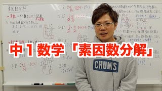 【中１数学】素因数分解 [upl. by Frey152]