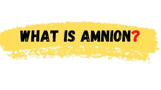 What is Amnion  Amnion Definition  Amnion meaning  Amnion [upl. by Stoeber]