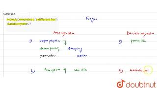 How Ascomycetes are different from Basidiomycetes   11  BIOLOGICAL CLASSIFICATION  BIOLOGY [upl. by Evie]