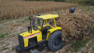 imagem de drone do trator CBT 8060 carregando a palha do milho até a silagem [upl. by Atinram585]