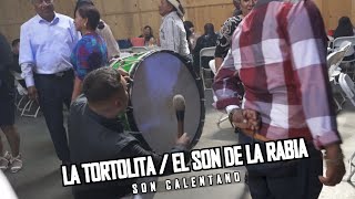 La tortolita  el son de la rabia SON CALENTANO en vivo [upl. by Melmon]