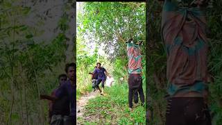 ভিডিওটা দেখতে থাকেন ফানি ভিডিওfunny comedy viralvideoシ [upl. by Reine]