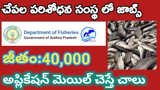 Department of fisheries recruitment 2024AP fisheries Dept jobs 2024 fisheries jobs apply process [upl. by Hofstetter793]