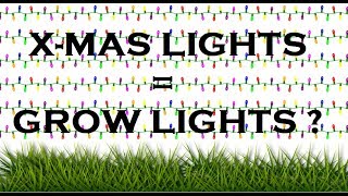 Diy Grow Box  LED Christmas Light Experiment [upl. by Elfreda]