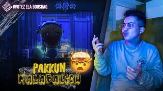 Pakkun  MALABALICH Reaction  VOTE 3LA BOUSHAQ [upl. by Troxell397]