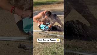 Bait Purse Prank 😂 Pranks ViralVideos JoeySalads [upl. by Eihpos693]