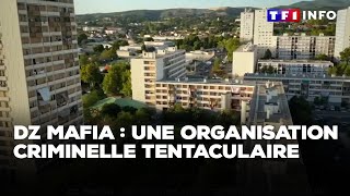 DZ mafia  une organisation criminelle tentaculaire [upl. by Efeek653]