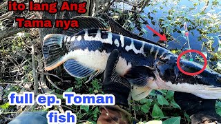 FULL EPISODE SA WAKAS BiG  TOMAN  DALAG  TILAPIA catch and cook [upl. by Ardussi]