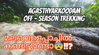 മലവെള്ളപ്പാച്ചിൽ കണ്ടിട്ടുണ്ടോ😨 Agasthyarkoodam offseason മിനിറ്റുകൾക്കുള്ളിൽ മലവെള്ളം വന്നു [upl. by Nomled]