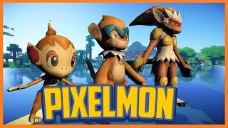 Pixelmon 30 Sneak Peek CHIMCHAR EVOLUTION LINE [upl. by Losiram830]