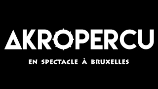 AkroPercu  En spectacle Ã Bruxelles [upl. by Araz589]