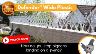 How to Stop Pigeons Landing on a Swing  Defender® Plastic Bird Spikes Stop Birds on Play Equipment [upl. by Oilut]