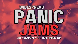 Widespread Panic Jams Live Music Mix No Vocals [upl. by Bratton698]